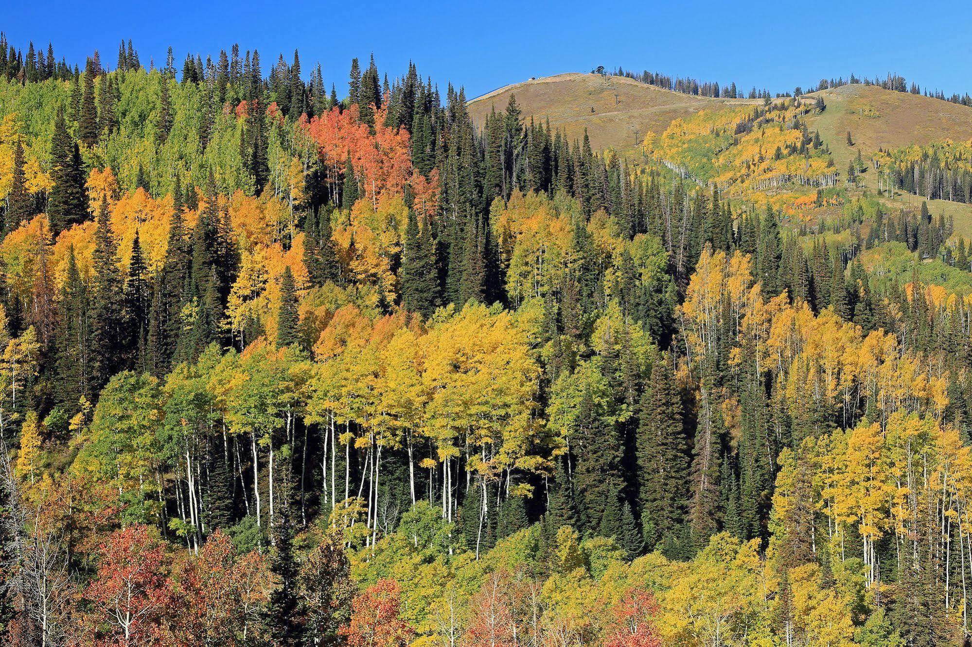 Raintree'S The Miners Club Park City Exteriér fotografie